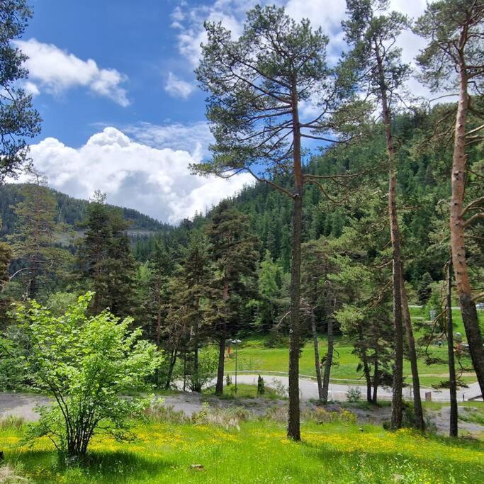 Appartement 3 Pieces Avec Jardin Valdeblore Bagian luar foto